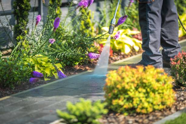 Best Winterizing Services  in Charlestown, MD